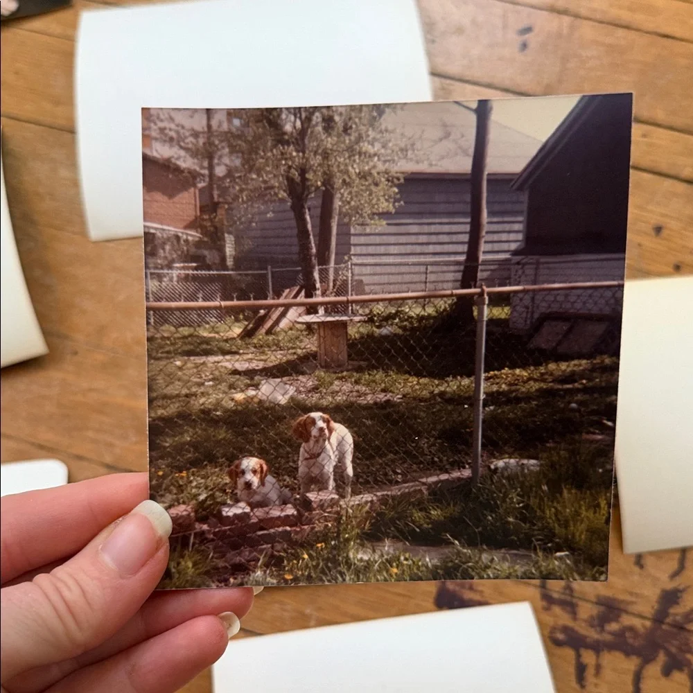 Vintage Photo Collection